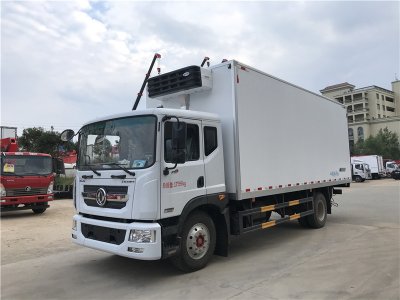 東風(fēng)多利卡D9冷藏車(chē)